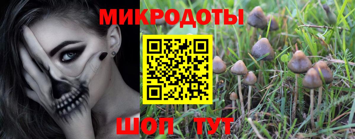 Тимашёвск  Псилоцибиновые грибы Psilocybine cubensis  Вход с VPN  Псилоцибиновые грибы мухоморы 