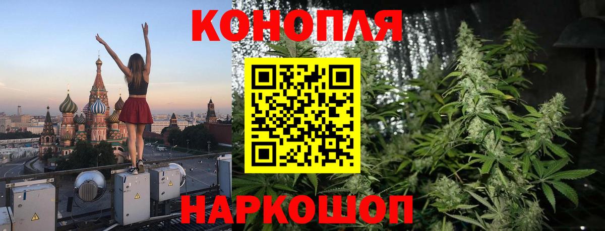 Шишки марихуана OG Kush Тимашёвск